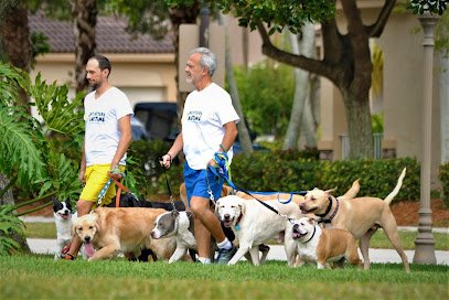 Pet Sitters Anytime
