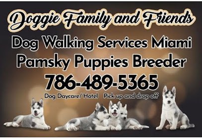 Dog walking, boarding and doggie daycare