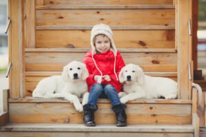 The Canine Cardio Club
