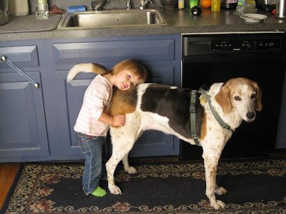 Spoiled Pawz Dog Walking & Pet Care, LLC
