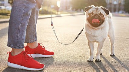 Robin’s Dog Walking & Pet Services LLC