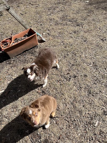 CaNine to Five, LLC