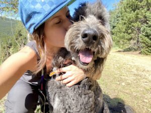 Harriet’s Hounds: Dog Walking & Pet Sitting