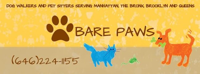 Bare Paws NYC Dog Walkers & Pet Sitters