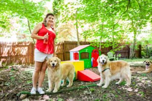 Playdates for Pets