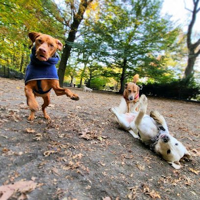 Far Fetched Pets