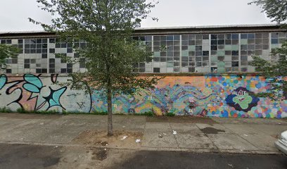 Walkypawsnyc