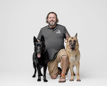 The Doggie Concierge