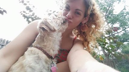 Pamper & Play Pet Sitter