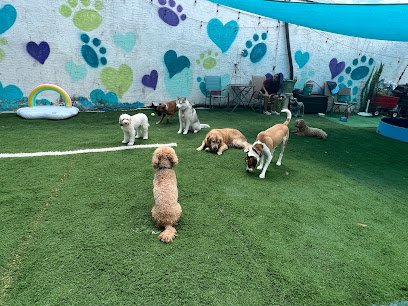 Shawe’s Paws Pet Care Philadelphia
