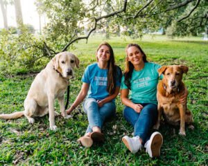 Brown Dog Walking Company