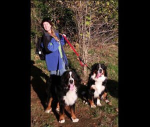Frolicsome Dog Walks