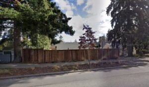 Seattle’s Best Dog Walkers