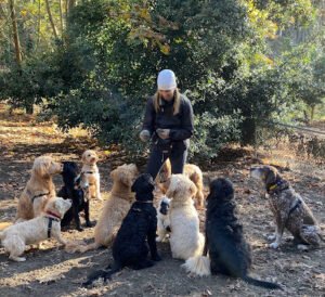 Debbie and the Dogs