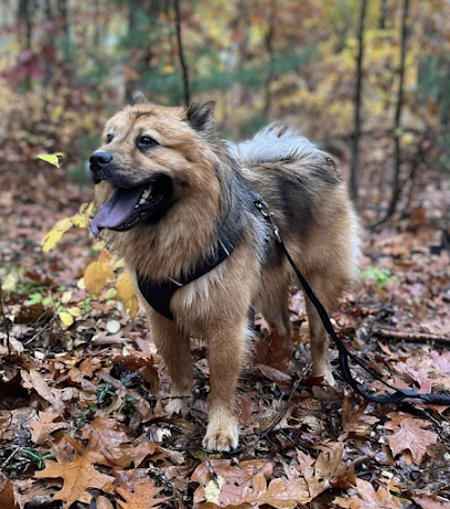 Tails N’ Trails