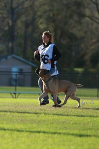 Cane Sportivo LLC