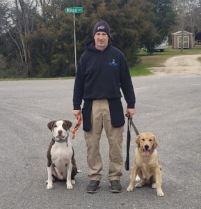 Allied Canine Training