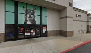 PetSmart Dog Training