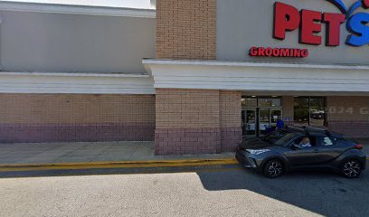 PetSmart Dog Training