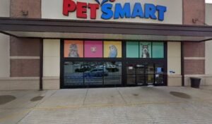 PetSmart Dog Training