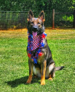 Off Leash K9 Training of North Alabama