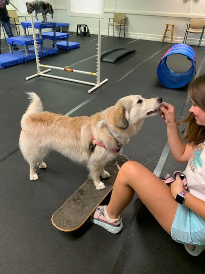 Kind Hearts Dog Training Center