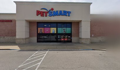 PetSmart Dog Training