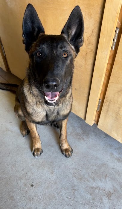 Foothills Dog Ranch