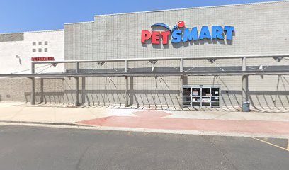 PetSmart Dog Training