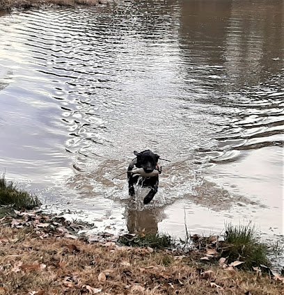 Wade Kennels LLC