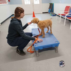 K9 Impact LLC