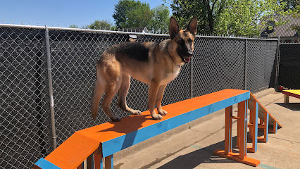 All Dog Obedience