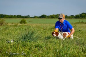 AllStar Gundog Kennels