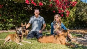 Who’s Walking Who? Dog Training