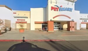 PetSmart Dog Training