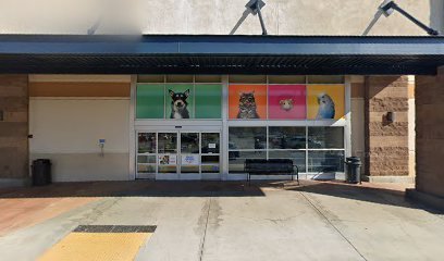 PetSmart Dog Training