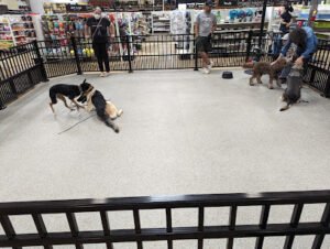 Flexible Pet Solutions