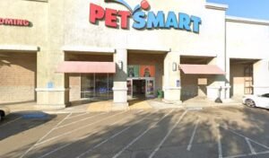PetSmart Dog Training