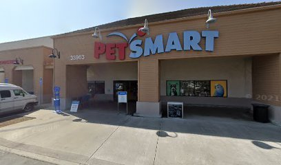 PetSmart Dog Training