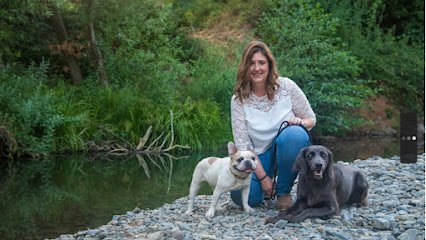 K9‚Äôs In Harmony- Dog Training