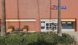 PetSmart Dog Training
