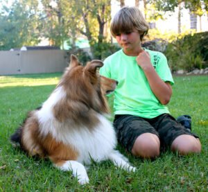 My Best Friend Obedience aka Channel Island Dog Training