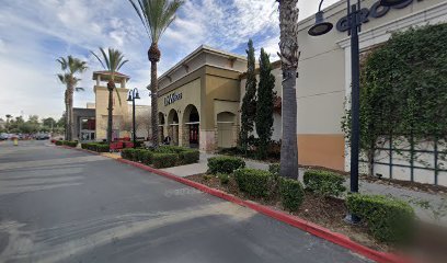 PetSmart Dog Training