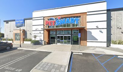 PetSmart Dog Training