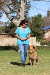3 Dog Training, LLC