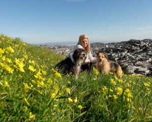 Good Dog Happy Dog LLC