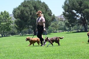 TACT K9 Handling