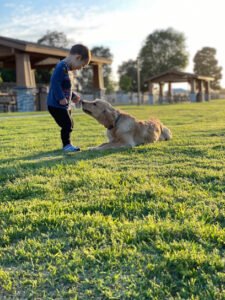 PAWSitively Balanced Dog Training