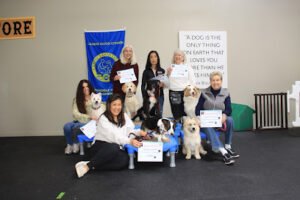 Love of Dogs Training
