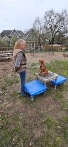 All About Canines, Positive Reinforcement Dog Training